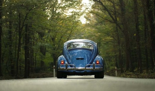 VW with trees