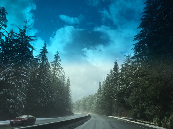 004853F9-94D8-4CB3-B1D5-D78D2CB97AF8