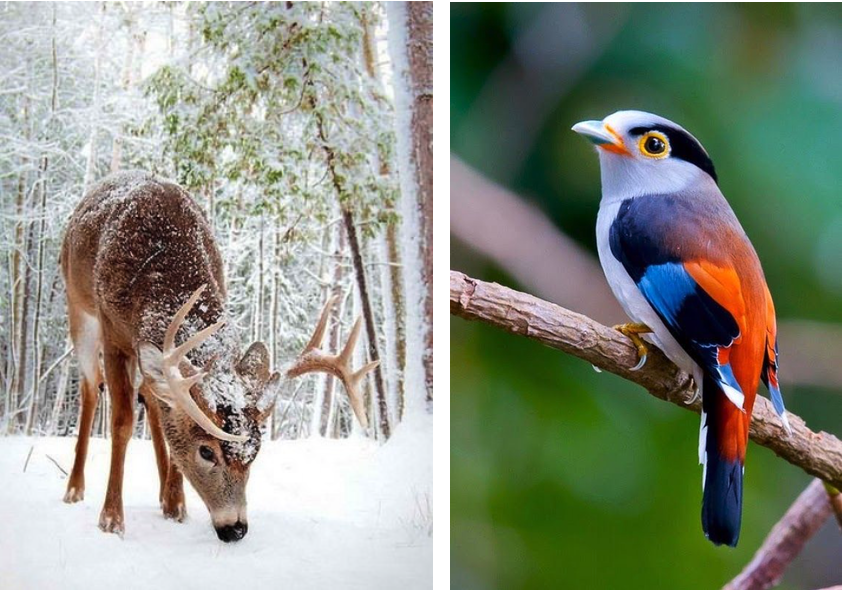 Screen Shot 2019-03-18 at 8.24.21 PM