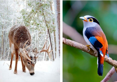 Screen Shot 2019-03-18 at 8.24.21 PM