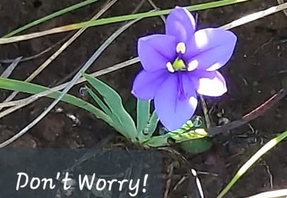 blog about not worrying