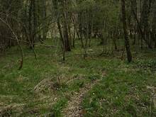 a blog about obstacles 3