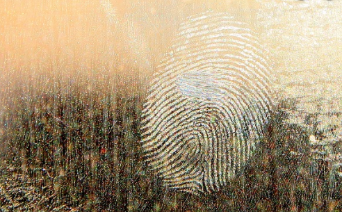 Screen Shot 2020-01-20 at 8.53.58 PM