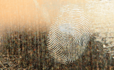 Screen Shot 2020-01-20 at 8.53.58 PM