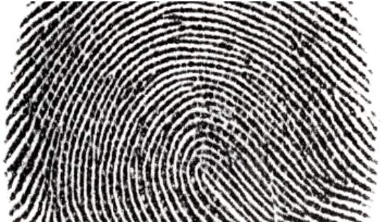 Screen Shot 2020-01-20 at 9.13.15 PM