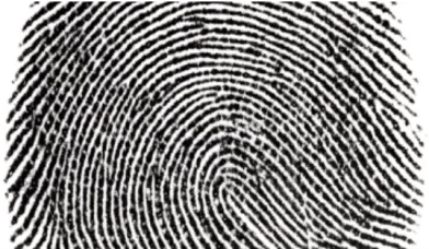 Screen Shot 2020-01-20 at 9.13.15 PM