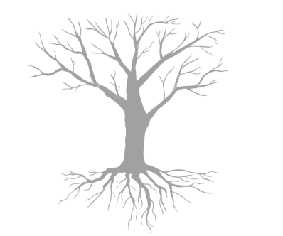 Screen Shot 2020-03-04 at 3.11.54 PM