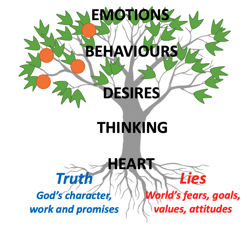 Screen Shot 2020-03-04 at 3.13.49 PM